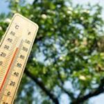 «موجة غير مسبوقة».. «الحرارة» تقتل 8 في أوروبا