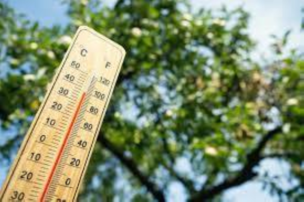 «موجة غير مسبوقة».. «الحرارة» تقتل 8 في أوروبا