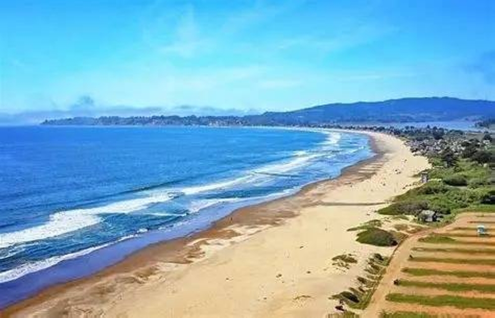 كارثة صيفية في أمريكا.. بكتيريا قاتلة تغلق أكثر من 100 شاطئ