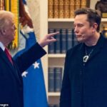 عقبات تواجه تأسيس حزب «ماسك» الجديد بعد خلافات مع ترمب