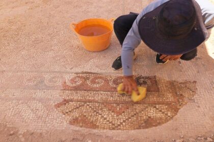 اكتشاف فسيفساء تعود إلى 1500 عام في ولاية ماردين التركية