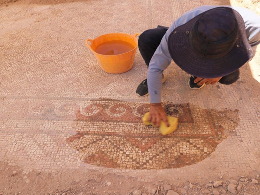 اكتشاف فسيفساء تعود إلى 1500 عام في ولاية ماردين التركية اكتشاف فسيفساء تعود إلى 1500 عام في ولاية ماردين التركية