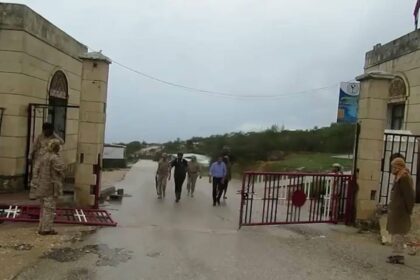 أمن المهرة: القبض على قيادي حوثي حاول الفرار بجواز دبلوماسي مزوّر