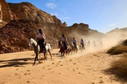 العُلا تُرسّخ مكانتها العالمية في بطولات الخيل وسباقاته المتنوعة