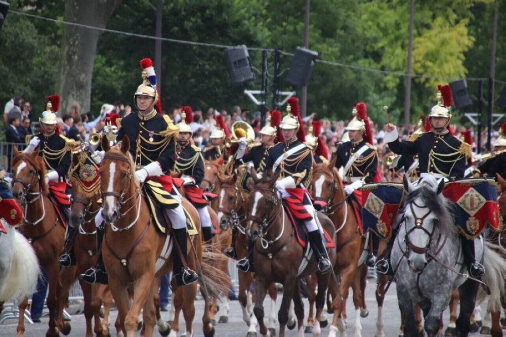 خيول بلا فرسان.. فوضى تُربك الجيش الفرنسي في «يوم الباستيل» خيول بلا فرسان.. فوضى تُربك الجيش الفرنسي في «يوم الباستيل»