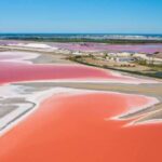 ظاهرة «مدّ أحمر» غير مسبوقة تقتل آلاف الكائنات البحرية في أستراليا