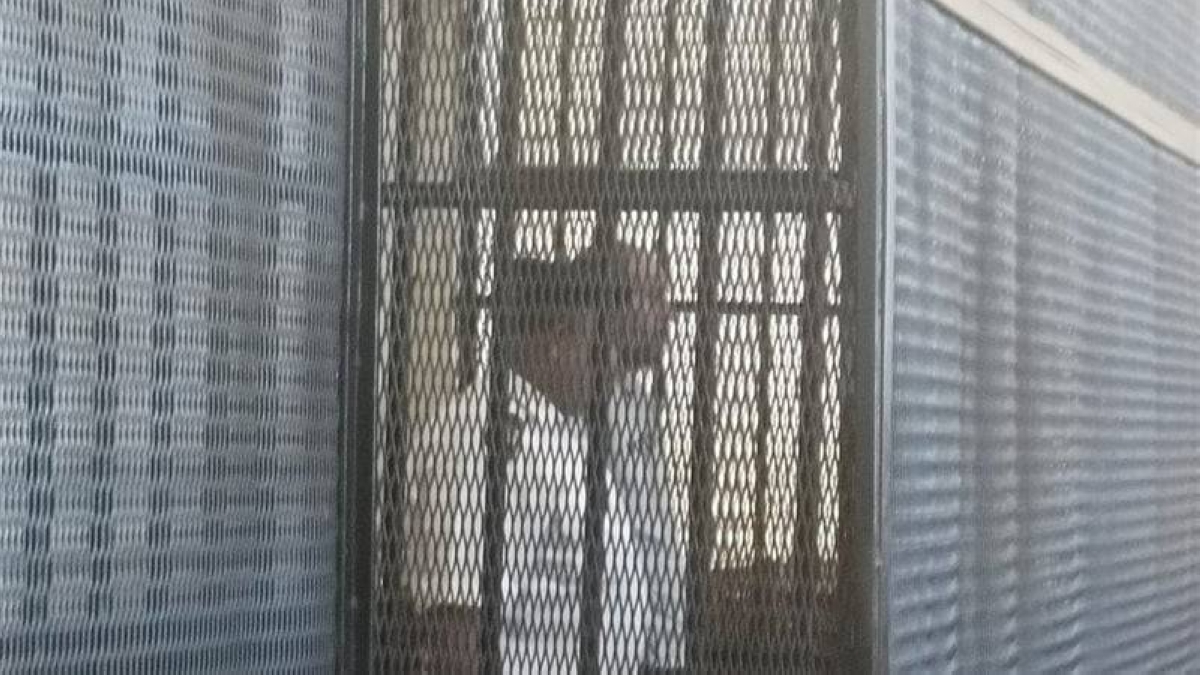 مصر: الإعدام لـ«سفاح المعمورة».. قتل زوجته ودفن ضحاياه تحت البلاط مصر: الإعدام لـ«سفاح المعمورة».. قتل زوجته ودفن ضحاياه تحت البلاط