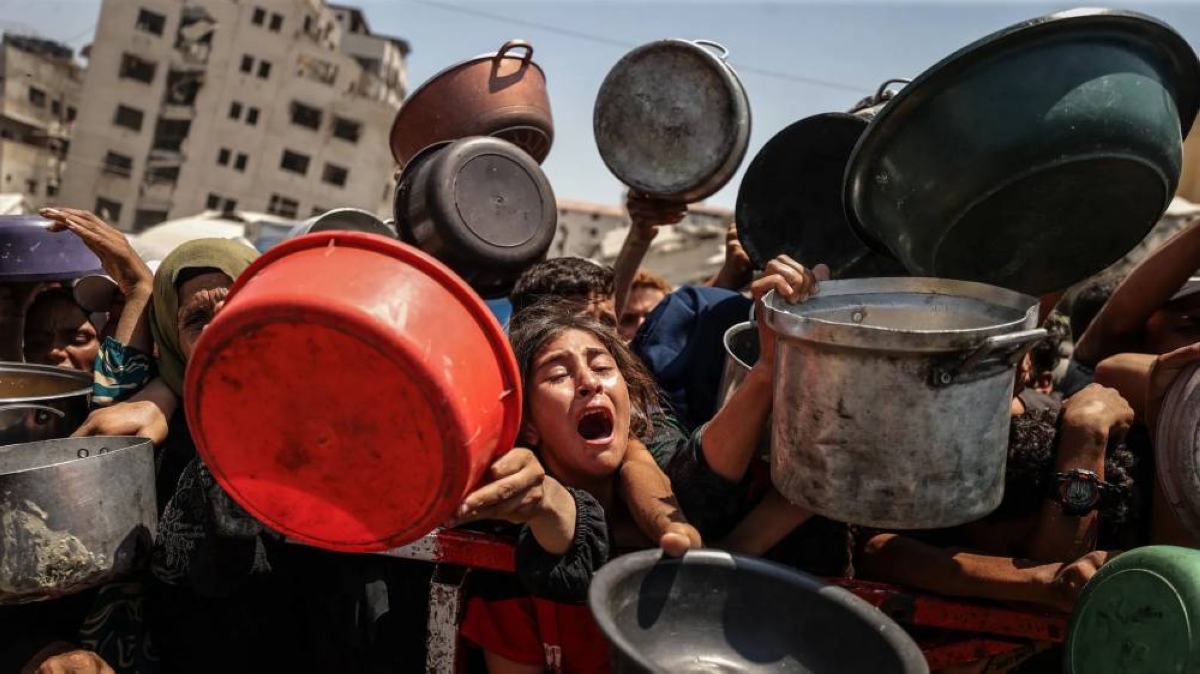 ويتكوف يصل إسرائيل.. وترمب يشترط استسلام «حماس» لإنهاء أزمة غزة ويتكوف يصل إسرائيل.. وترمب يشترط استسلام «حماس» لإنهاء أزمة غزة