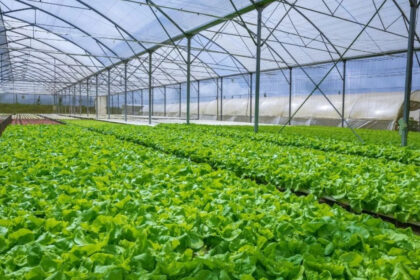 متحدثون: الابتكار التكنولوجي يعزز استمرارية نمو القطاع الزراعي بالأردن