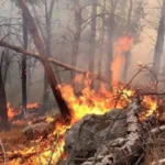 مستوطنون يشعلون النار بأراض زراعية جنوب نابلس​ 