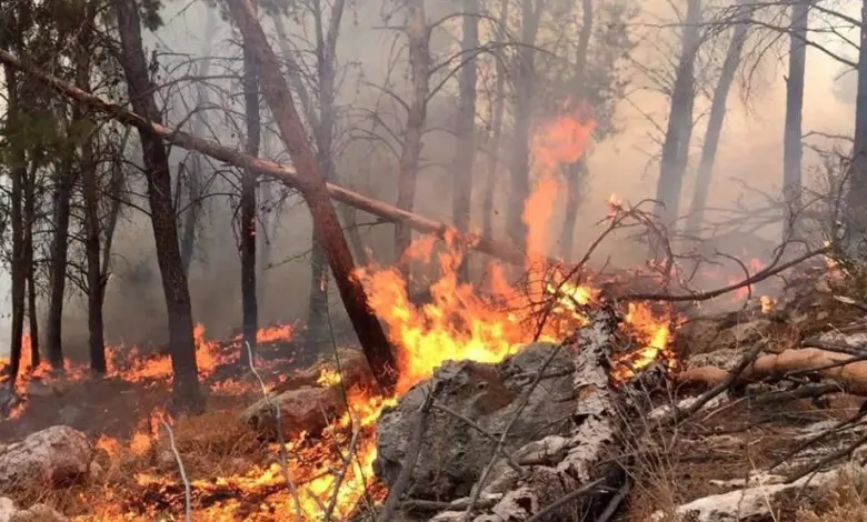مستوطنون يشعلون النار بأراض زراعية جنوب نابلس مستوطنون يشعلون النار بأراض زراعية جنوب نابلس