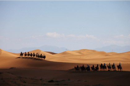 ما الذي يجعل سباقات الهجن رياضة فريدة من نوعها؟