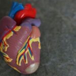 أمل واعد لعلاج أمراض القلب لدى الأطفال