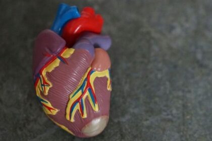 أمل واعد لعلاج أمراض القلب لدى الأطفال