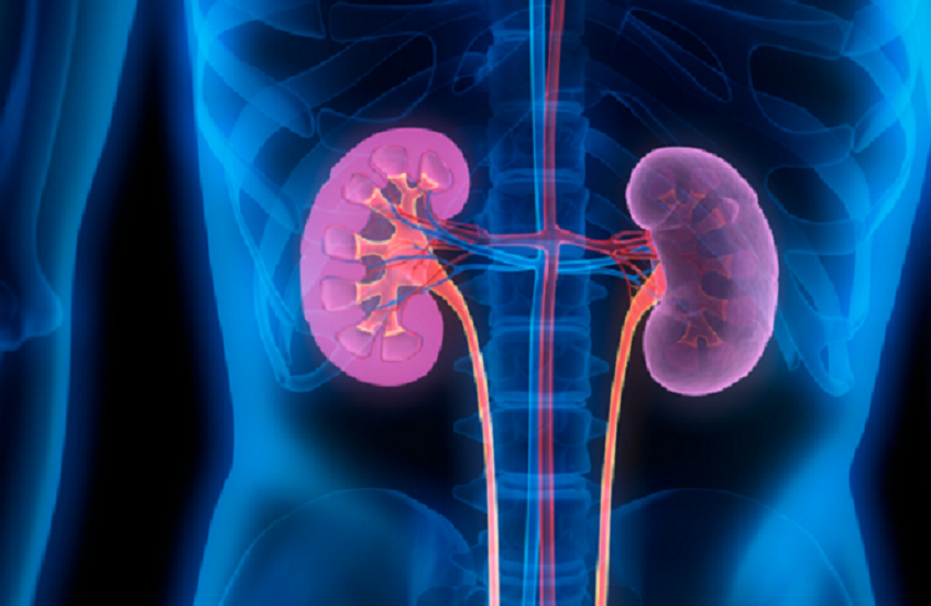 الكشف عن رابط بين صحة الفم وأمراض الكلى! الكشف عن رابط بين صحة الفم وأمراض الكلى!