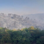 عمليات السيطرة على حريق أحراش جرش مستمرة والجهود تتكامل لإنهاء التبريد بدعم جوي