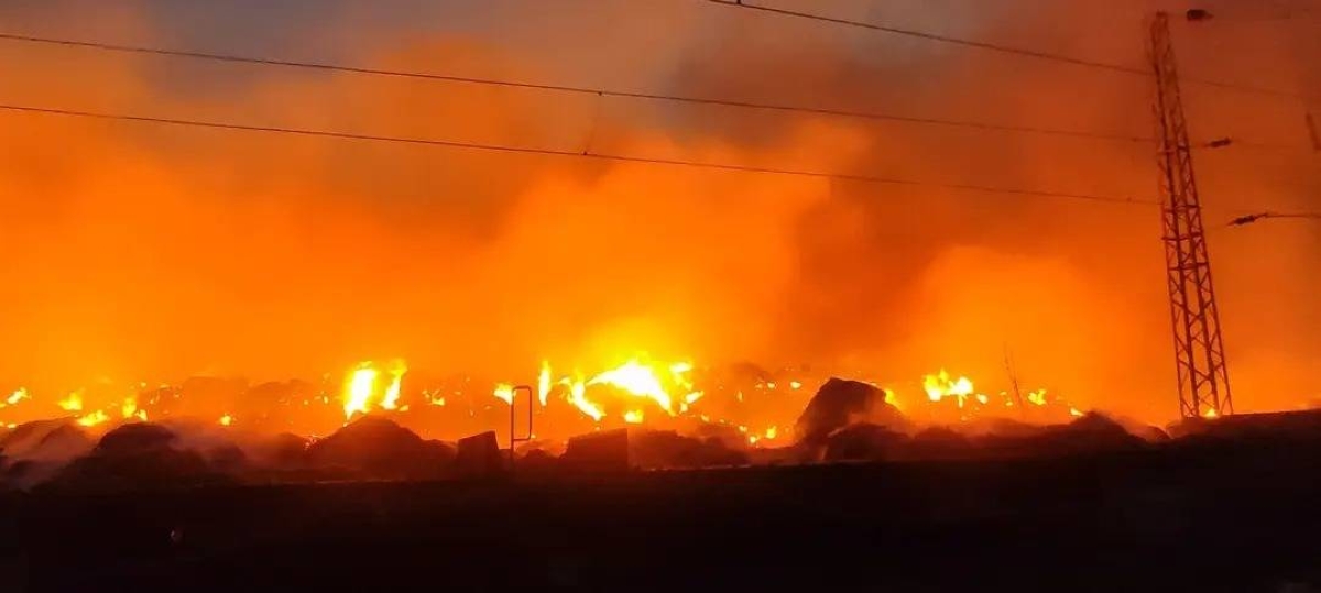 عمرها 600 عام.. حرائق الغابات تلتهم شجرة «بلوط الشتاء» في بلغاريا عمرها 600 عام.. حرائق الغابات تلتهم شجرة «بلوط الشتاء» في بلغاريا