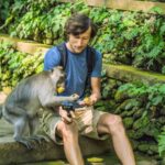 لماذا تسرق «عصابة القرود» الجوالات والمحافظ من السياح في معبد إندونيسي؟