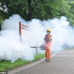 إنذار أمريكي.. تفشي «الشيكونغونيا» يهدّد المسافرين إلى الصين