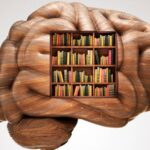 دراسة تكشف: ذكريات الأماكن تتحرك في دماغك