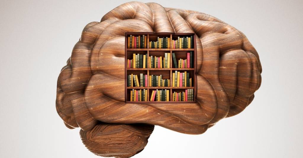 دراسة تكشف: ذكريات الأماكن تتحرك في دماغك دراسة تكشف: ذكريات الأماكن تتحرك في دماغك