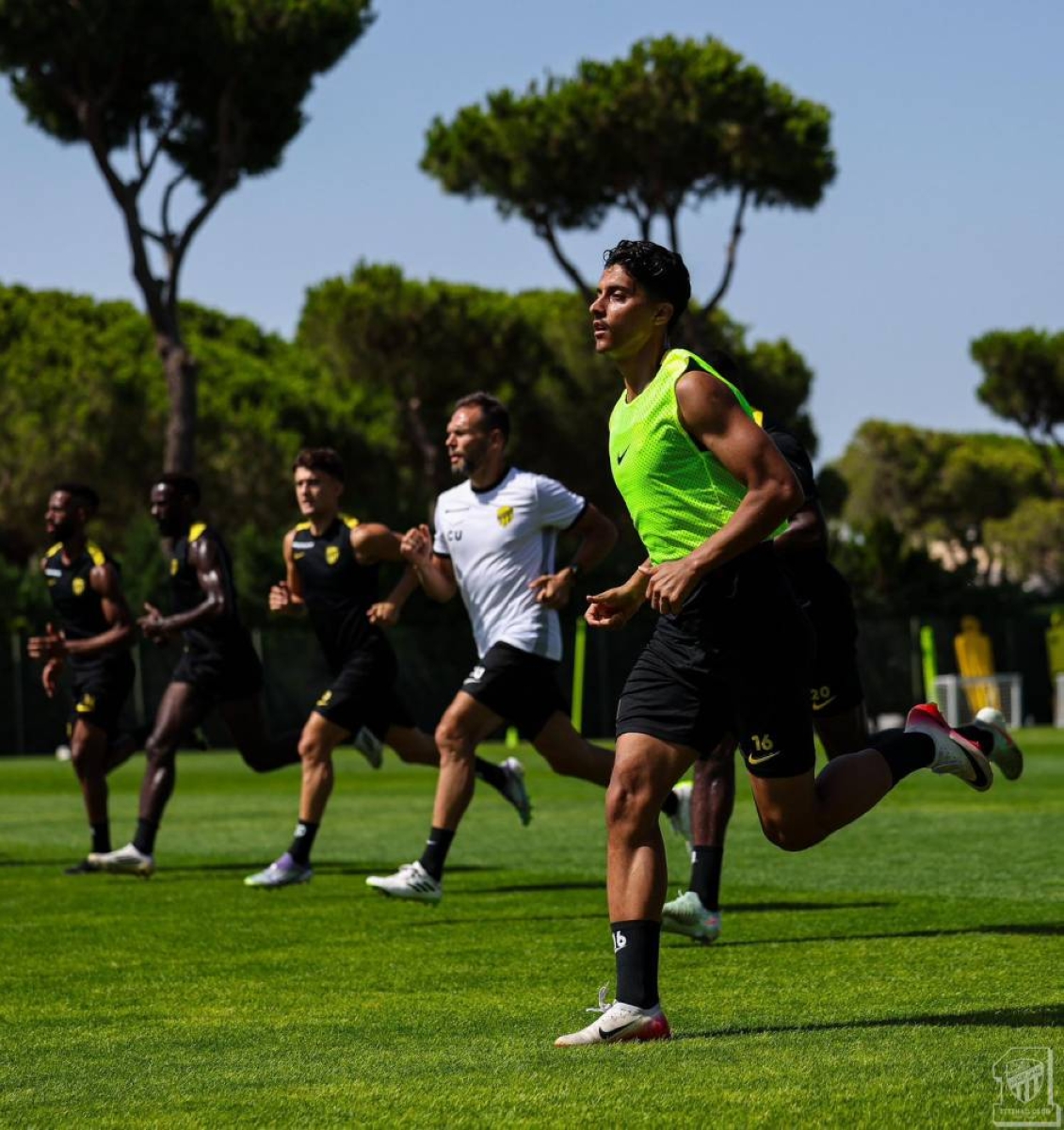 صيفية باردة على العميد صيفية باردة على العميد