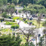 غابة رغدان.. قلب الباحة الأخضر ومسرح الفعاليات العالمية