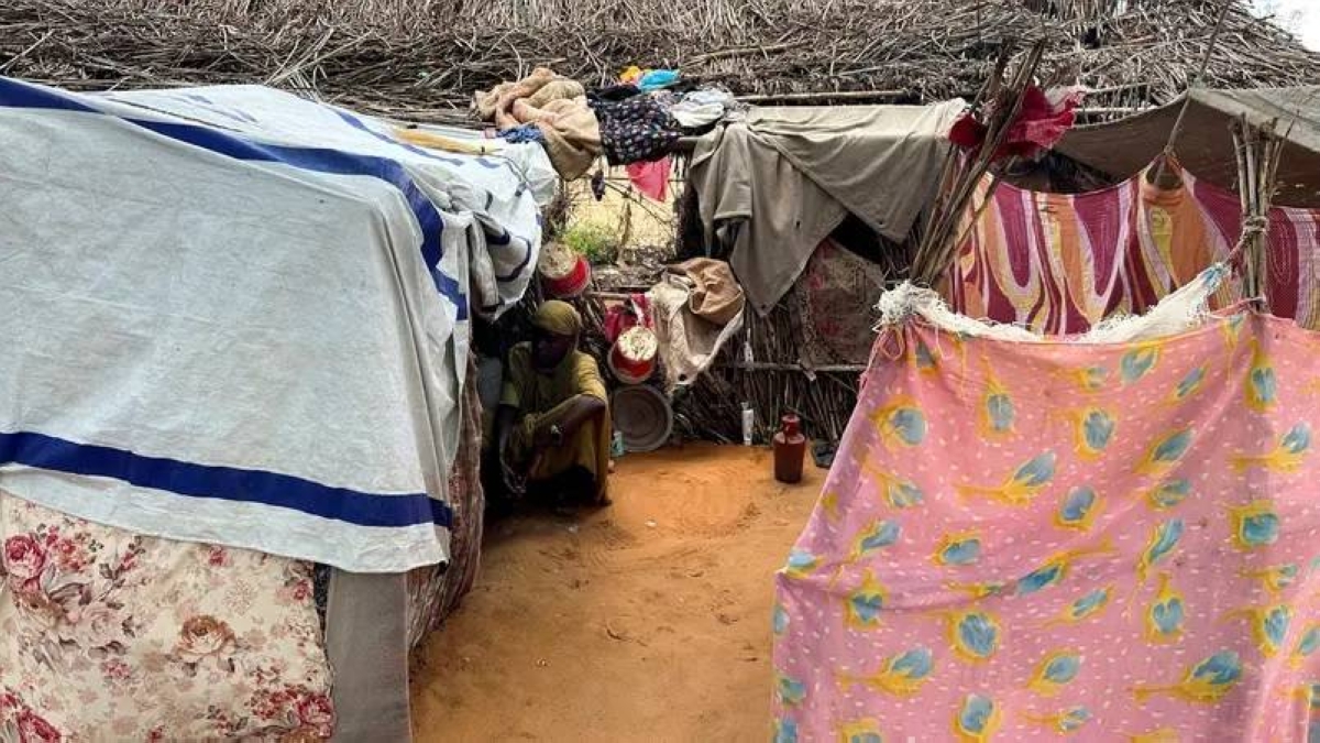 مقتل 14 مدنيّاً.. الحصار والأمراض يفتكان بدارفور وكردفان