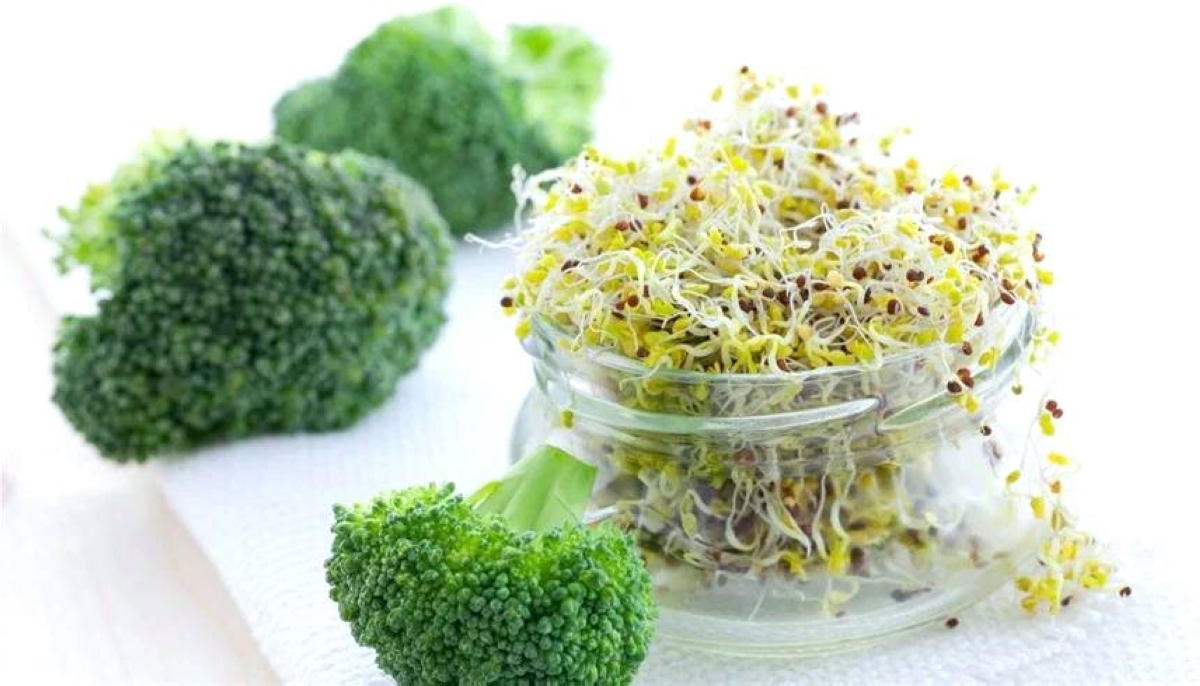 البروكلي.. واقٍ طبيعي ضد سرطان القولون البروكلي.. واقٍ طبيعي ضد سرطان القولون