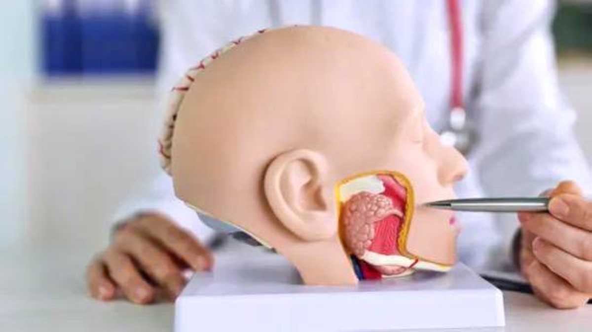 لسان اصطناعي «يتذوق ويتعلّم».. قفزة لحواس الآلات لسان اصطناعي «يتذوق ويتعلّم».. قفزة لحواس الآلات