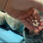 اليمن: ضبط شحنة مخدرات بقارب تهريب في باب المندب