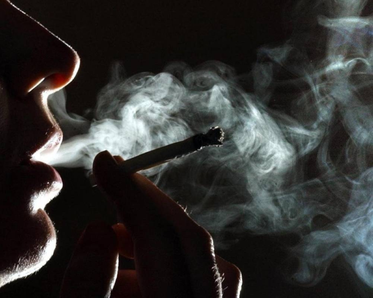 دراسة: استخدام «القنب» لتخفيف الألم أو القلق يزيد من مخاطر البارانويا دراسة: استخدام «القنب» لتخفيف الألم أو القلق يزيد من مخاطر البارانويا