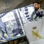 إسبانيا تضبط 150 حيواناً نادراً في حديقة سرية.. ما القصة؟