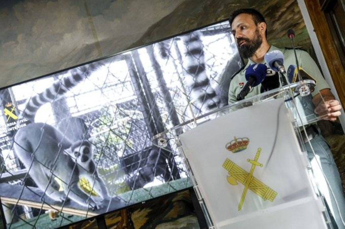 إسبانيا تضبط 150 حيواناً نادراً في حديقة سرية.. ما القصة؟