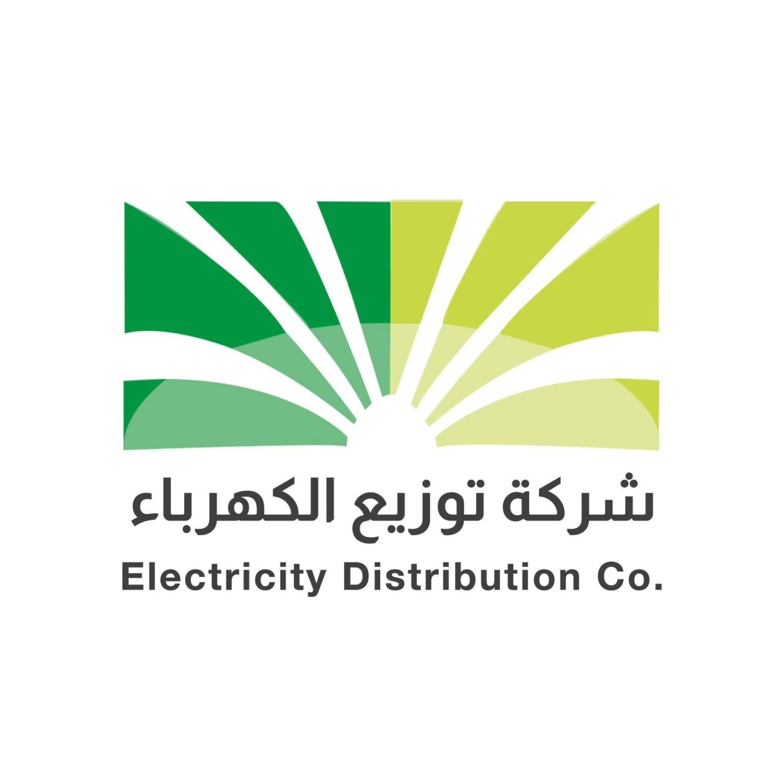 شركة توزيع الكهرباء تطلق برنامجاً ميسراً لتسوية المستحقات المتراكمة على مشتركيها من فئة المنزلي شركة توزيع الكهرباء تطلق برنامجاً ميسراً لتسوية المستحقات المتراكمة على مشتركيها من فئة المنزلي