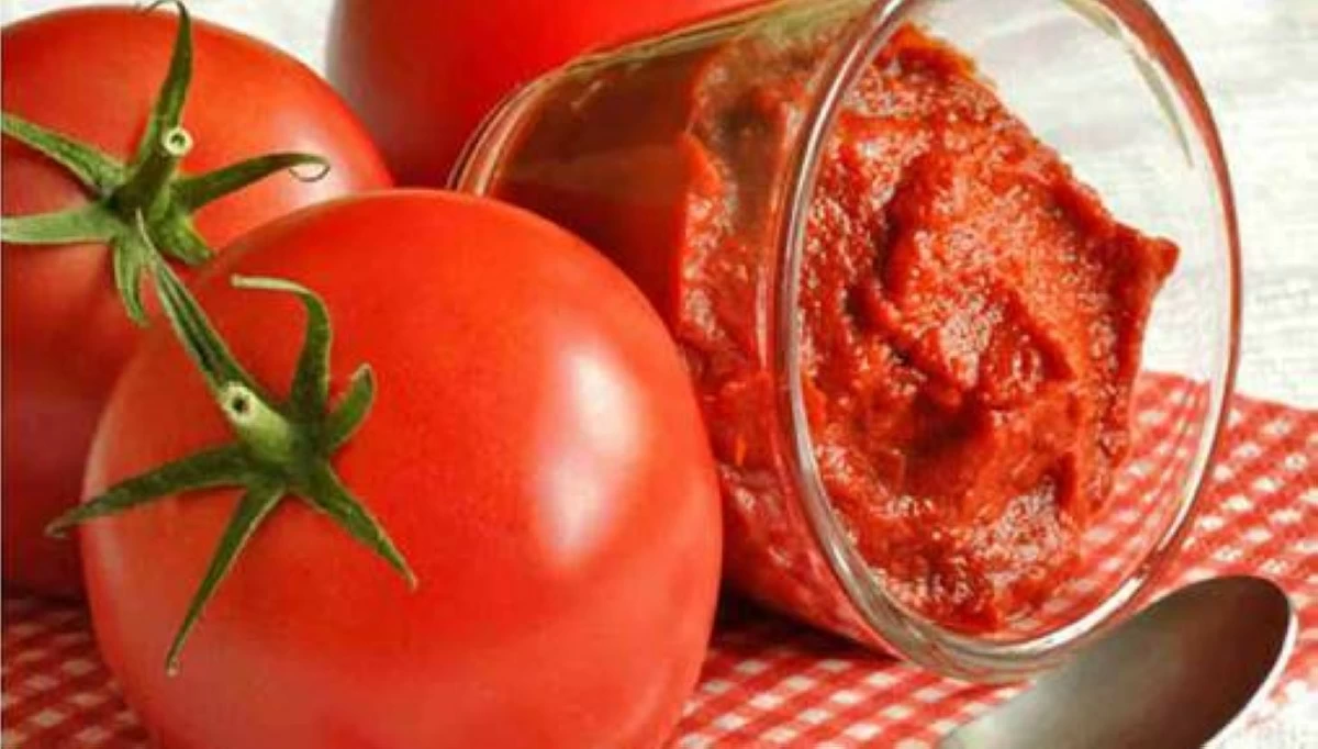 وزارة الزراعة: دعم مباشر لاستيعاب فائض انتاج البندورة وتصنيع رب البندورة وزارة الزراعة: دعم مباشر لاستيعاب فائض انتاج البندورة وتصنيع رب البندورة