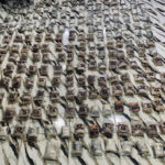 القوات المسلحة تحبط محاولة تسلل وتهريب كمية كبيرة من المواد المخدرة