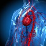 سويسرا.. ابتكار رقعة ثلاثية الأبعاد لعلاج القلب