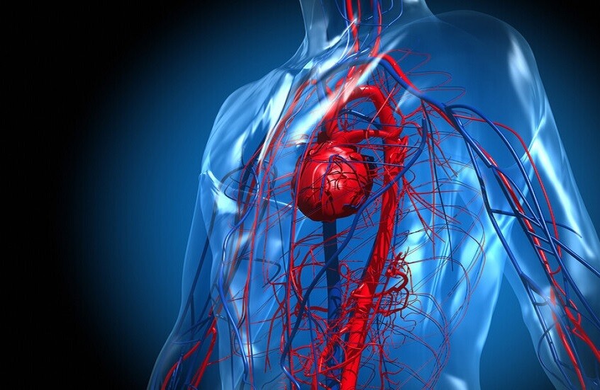 سويسرا.. ابتكار رقعة ثلاثية الأبعاد لعلاج القلب سويسرا.. ابتكار رقعة ثلاثية الأبعاد لعلاج القلب