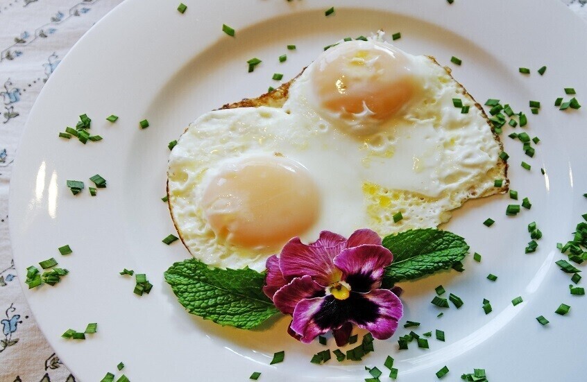 ابدأ يومك بقوة.. فوائد وجبة الإفطار وعواقب التخلي عنها ابدأ يومك بقوة.. فوائد وجبة الإفطار وعواقب التخلي عنها