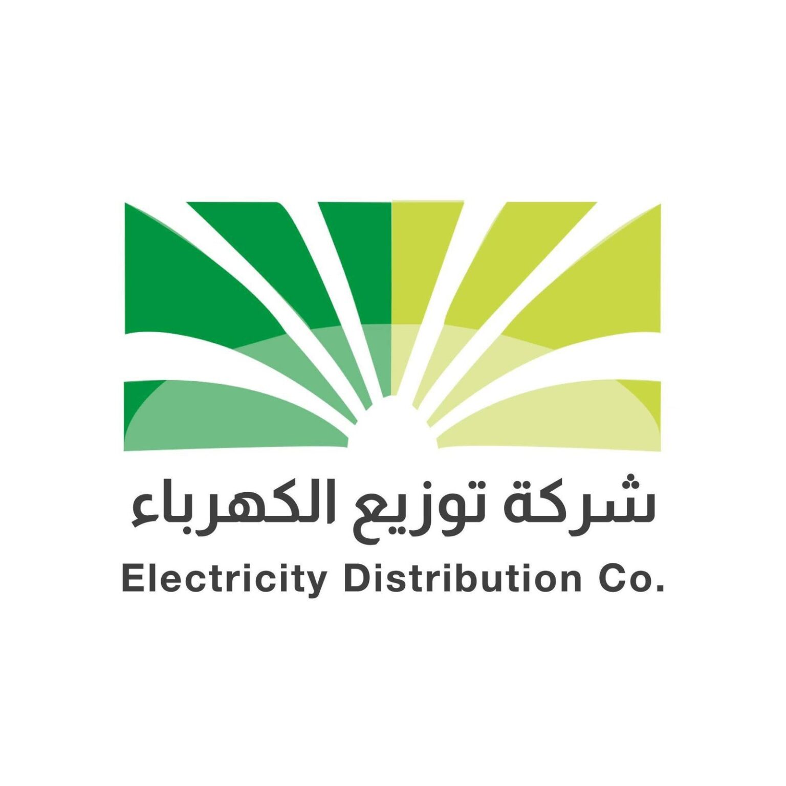 شركة توزيع الكهرباء تخصص 5% من أرباحها لمشروع المسؤولية المجتمعية الحكومي