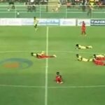 سرب «نحل» يقتحم ملعباً في تنزانيا.. ويوقف مباراة كرة قدم