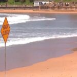 مأساة على شاطئ سيدني.. أب يفقد حياته في هجوم قرش نادر