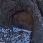 30 ثانية تحير العلماء بسبب «باب كازاخستان»