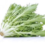 مستخلص مادة نباتية يحارب السرطان