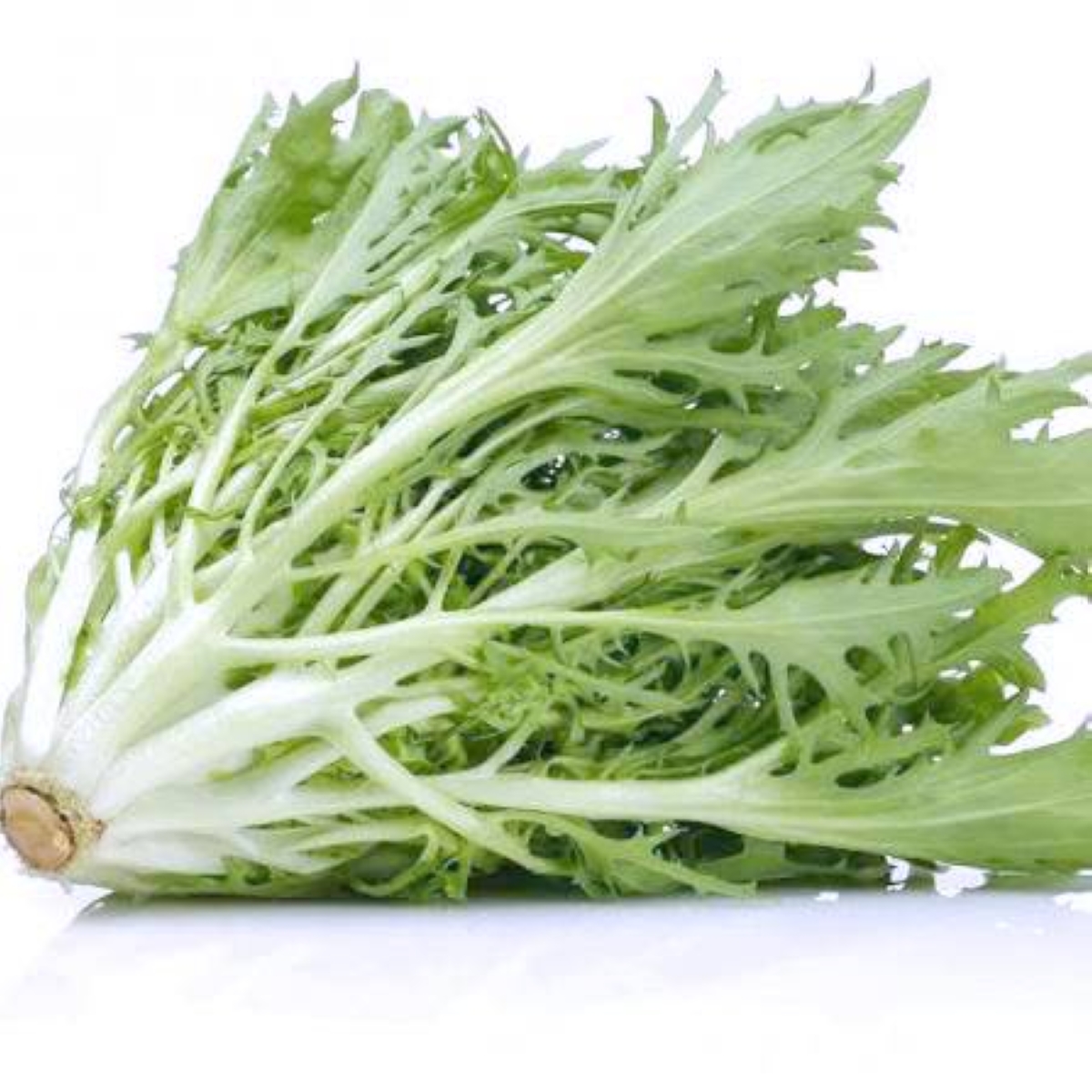 مستخلص مادة نباتية يحارب السرطان