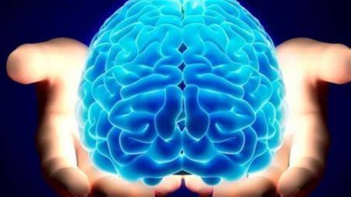 اكتشاف «بروتين مفتاحي» قد يبطئ شيخوخة الدماغ اكتشاف «بروتين مفتاحي» قد يبطئ شيخوخة الدماغ