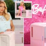 سحب 110 آلاف ثلاجة «باريس هيلتون» بسبب احتمال اندلاع حرائق