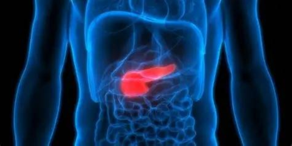 دراسة عالمية تحذّر: رائحة فمك قد تكون سبباً في الإصابة بـ«القاتل الصامت» دراسة عالمية تحذّر: رائحة فمك قد تكون سبباً في الإصابة بـ«القاتل الصامت»