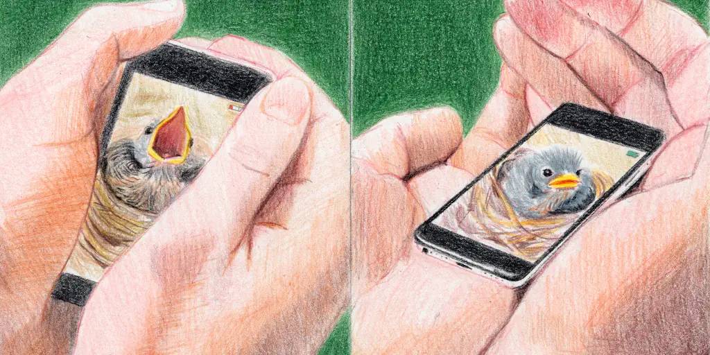 لا تشحن هاتفك حتى 100%.. نصائح لإطالة عمر البطارية